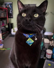 Load image into Gallery viewer, Mix it Up — Cat Collar made with BioThane®