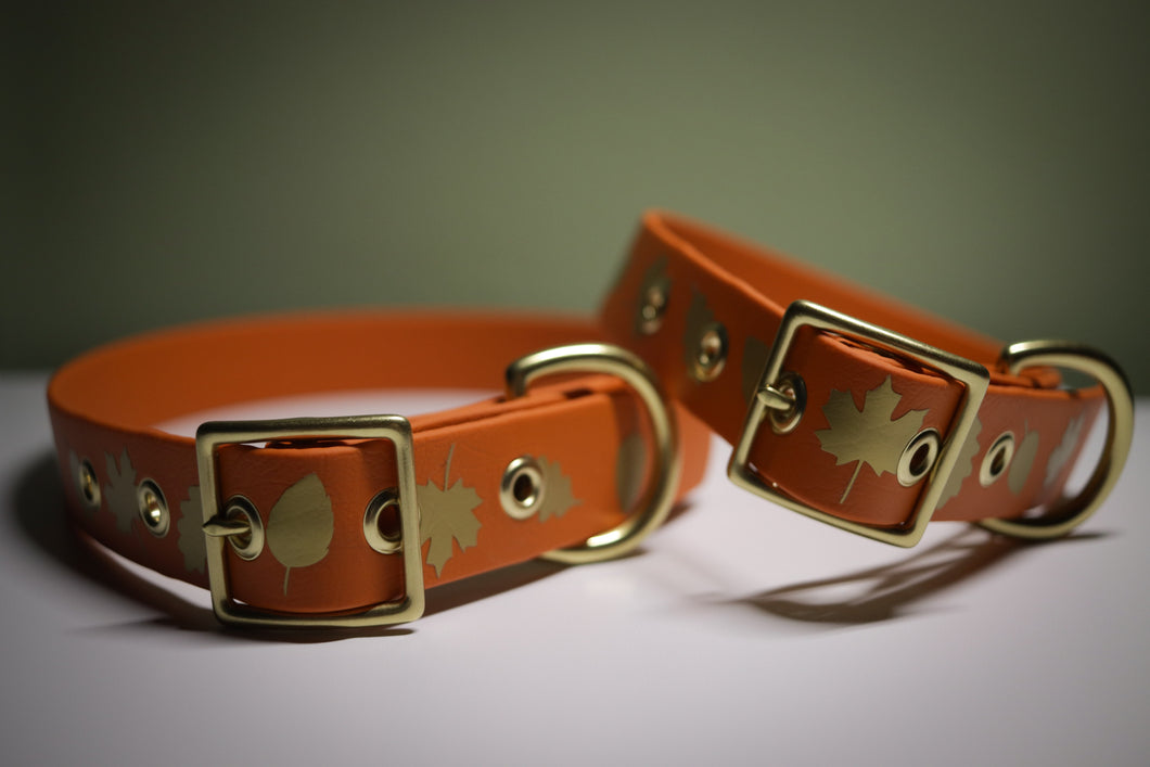 Fallin' For You — Dog Collar made with BioThane®